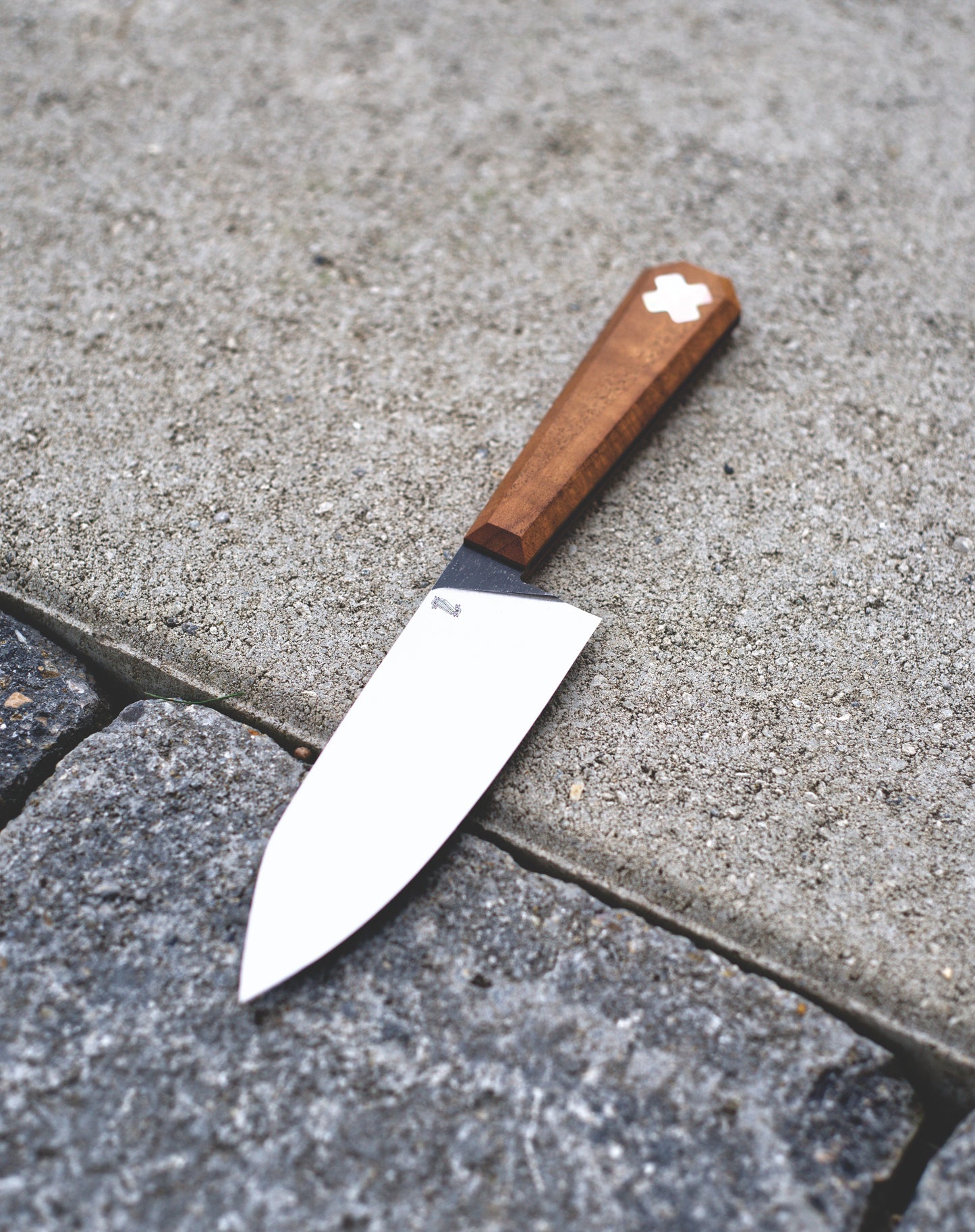 Draculas Dream Petty