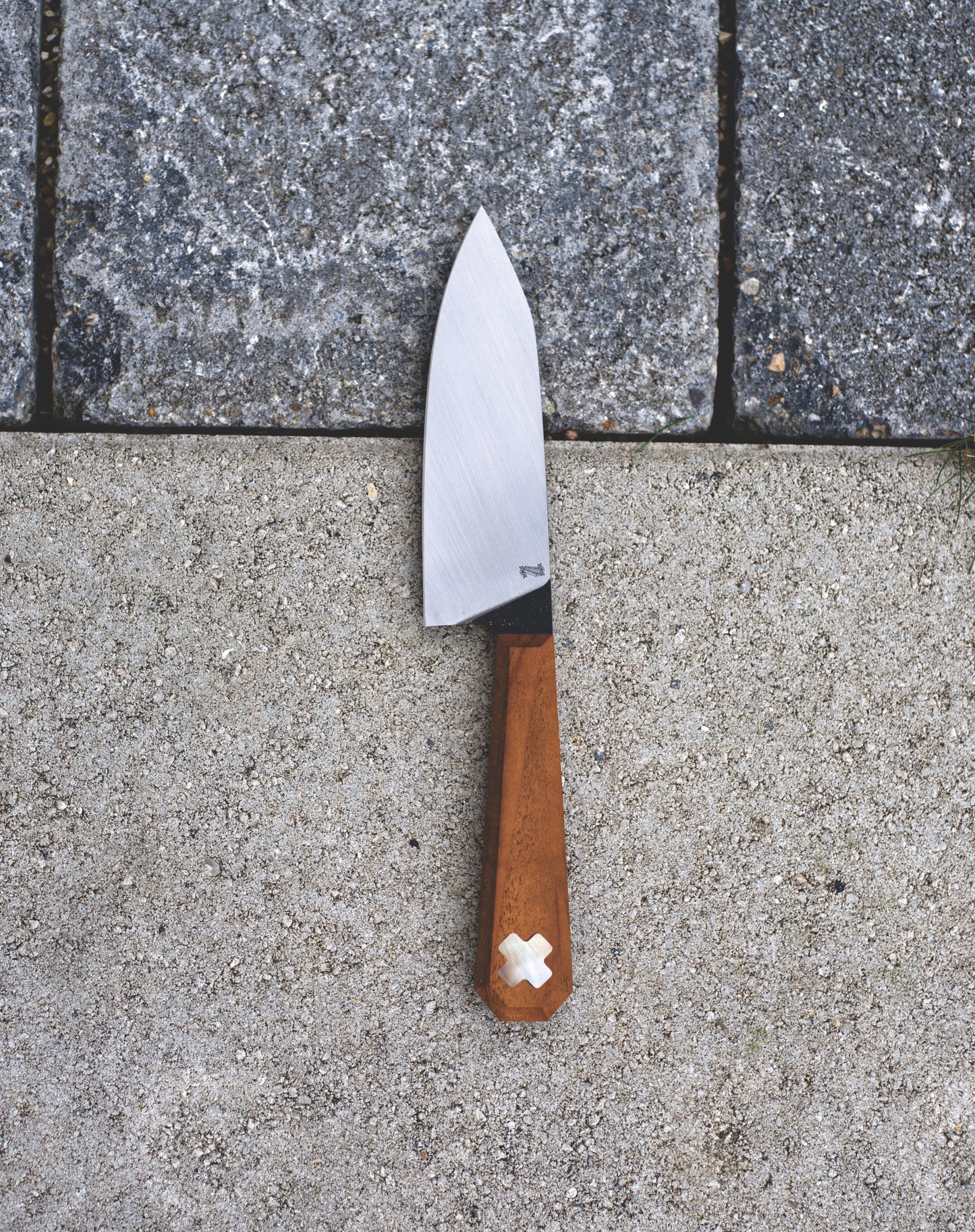 Draculas Dream Petty